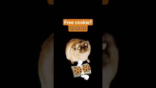 I'll be making more gd content