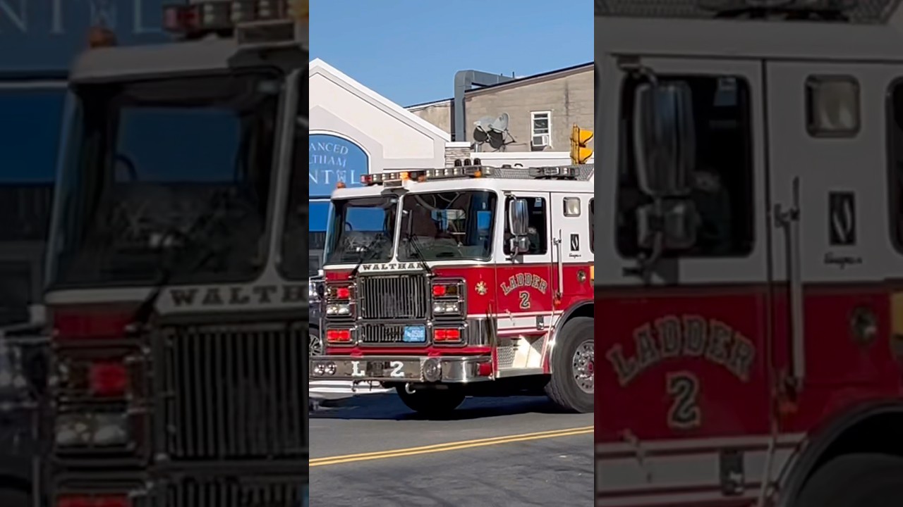 Waltham Ladder 2 