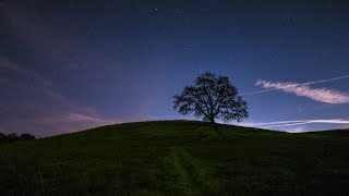 Beautiful Japanese Music - Inu Sad Song Mix - Emotional Soundtrack 🌔