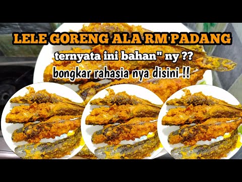 LELE GORENG TANPA AMIS DAN CARA GORENG IKAN SUPAYA TIDAK LENGKET DAN MELETUP SAAT DIGORENG. 