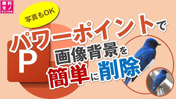 【写真もOK】パワーポイント/PowerPointで画像背景を簡単に削除する方法を解説