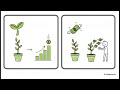 ₹20,000/Month Passive Income Plan: 5 Assets That Pay You Every Month (Bonds, REITs, Dividend Stocks)
