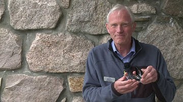 Choosing the right compass