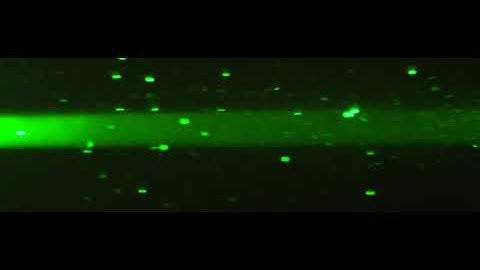 Digital Particle Tracking Velocimetry (DPTV) example