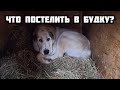 ЧТО ПОСТЕЛИТЬ СОБАКЕ В БУДКУ ЗИМОЙ ? || Сено, опилки, солома или тряпки?