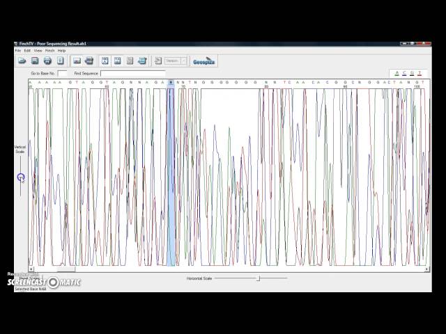 Sequence Analysis using Finch TV and BLAST class=