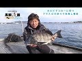 黒鯛流儀 関東攻略編 ［大エビでスローに待つ プラスαの釣りで年無し奪取］