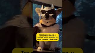 Когда ТЫ очень ВАЖЕН  #оренбург #оренбург56 #мем #удаленнаяработа #кофеоренбург #оренбургскаяобласть