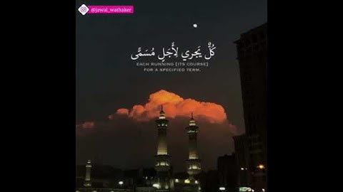 القارئ وديع اليمني ||(الله الذي رفع السماوات بغير عمد ترونها)||حالات واتساب || Wadi Al-Yamani