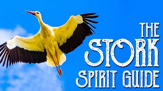 The Stork Spirit Guide - Ask the Spirit Guides Oracle - Totem Animal, Power Animal, Magical Crafting