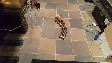 C.elegans robot run by neural network recording