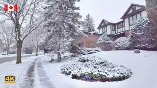 Winter Snow Walk ❄️AURORA Homes 🏠Toronto GTA area | 4K Canada 🇨🇦