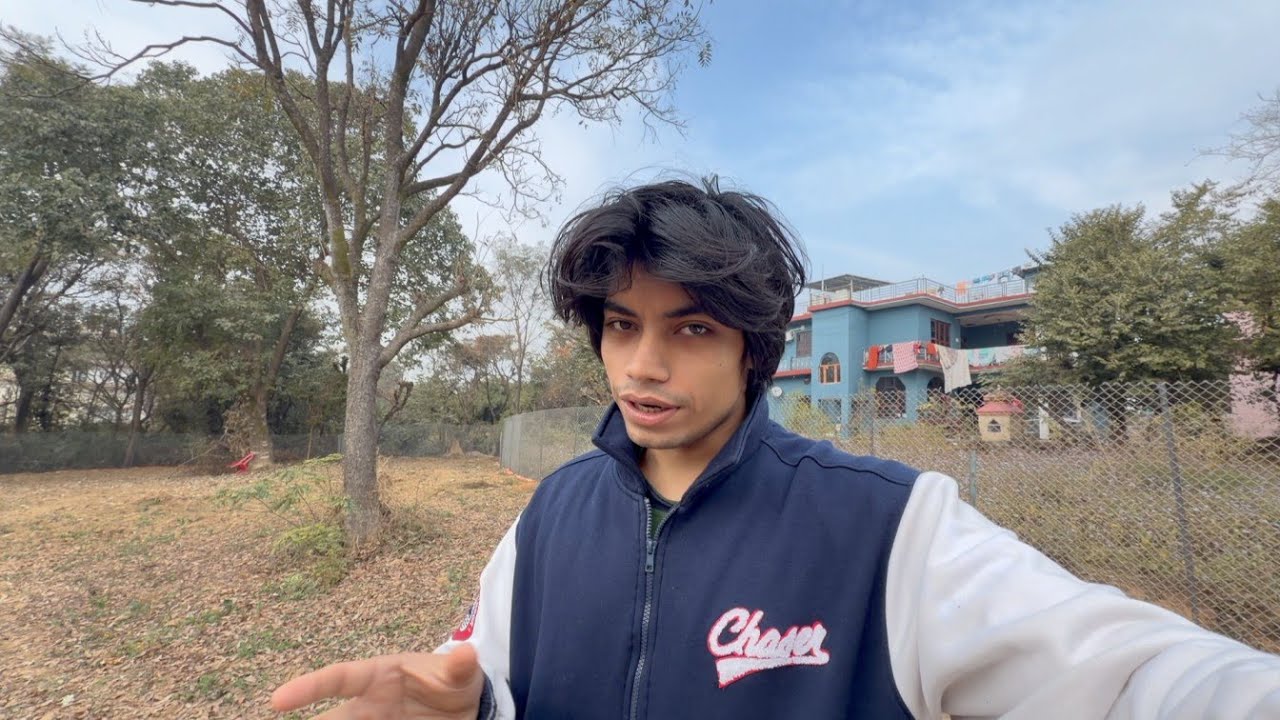 this is my dream life dogs, hens, ducks, gym and sun