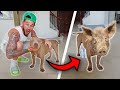 NEVER DO THIS to YOUR DOG... | FamousTubeFamily