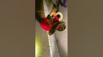 Record-Breaking Capture: Florida