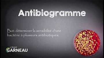 Quel est l'intérêt de l'antibiogramme ?