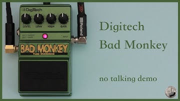 Digitech - Bad Monkey - No Talking Demo