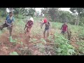 Pesa Mbaga