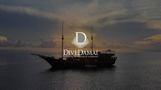 Inside Damai