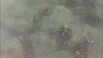 Aursfjord 1. nov 2025