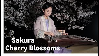 Sakura Sakura Japanese Folk Song /古筝 樱花 / 箏 さくら さくら