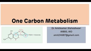 One Carbon Metabolism || Biochemistry || NEET PG