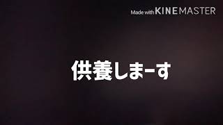 大特価 豪華2本立て在庫処分セール【賞味期限切れ】【戦場の絆】【ハイブ×ト×ストカス】