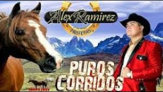 Alex Ramirez y su Banda Profetas {X LABERINTO}PUROS CORRIDOS