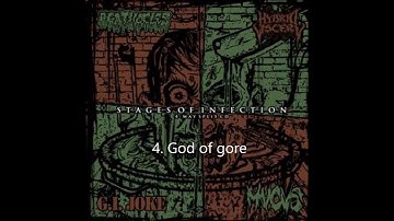 HYBRID VISCERY ( Stages of infection )