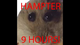9 hours of silence occasionally broken up by hampter