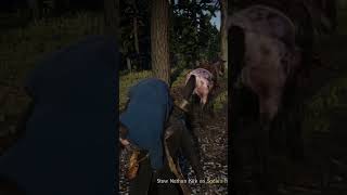 she broke me funny gaming rdr2 reddeadredemtion2 foryou fypシ fyp reels