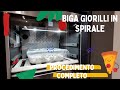 Biga Giorilli in spirale, come farla al meglio. Procedimento completo, video integrale.