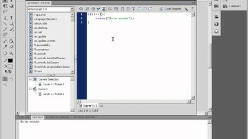 [Tutorial ActionScript 3.0] las condicionales.