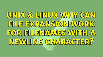 Unix & Linux: Why can file expansion work for filenames with a newline character?