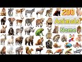 Animals vocabulary ll 200 animals name in english with pictures ll all animals name in english