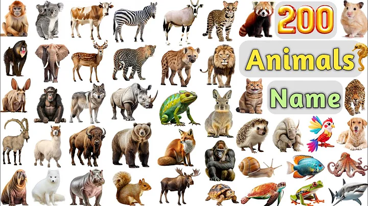 Animals Vocabulary ll 200 Animals Name In English With Pictures ll All Animals Name In English