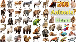 Animals Vocabulary ll 200 Animals Name In English With Pictures ll All Animals Name In English
