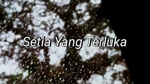 Setia yang terluka || Puisi