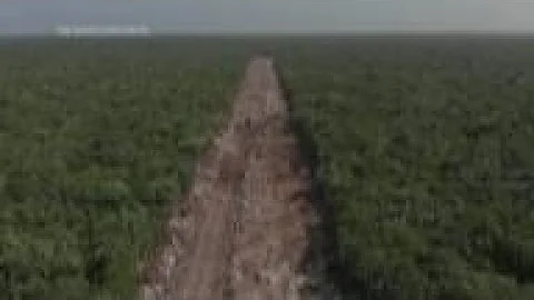 Mexican train project endangers environment