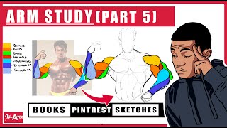 Arm anatomy study! reference breakdown   personal notes PART 5