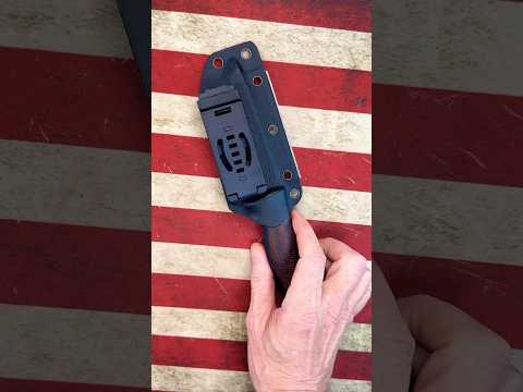 Kizer Polaris.