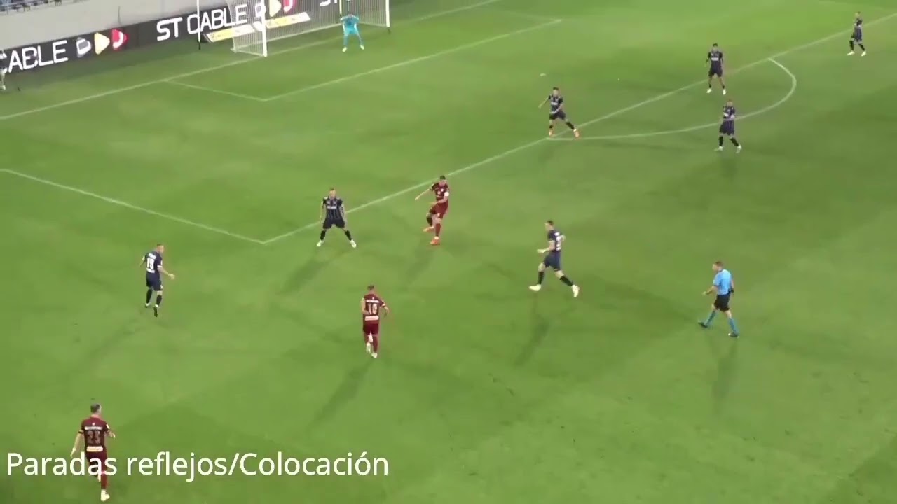 Bir panter yükseliyor. Rise of panther Veljko İlic.