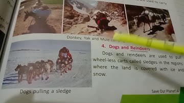 ABN school sub. EVS class-4 chapter -12 Animals in Transport part -2