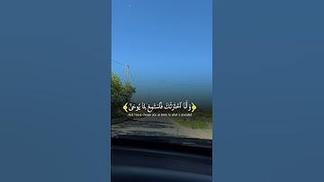 تلاوة عطرة لآيات من كتاب الله #القرآن_الكريم #القرآن #المصحف #اكسبلور #راحة_نفسية #foryou #fyp #fyp