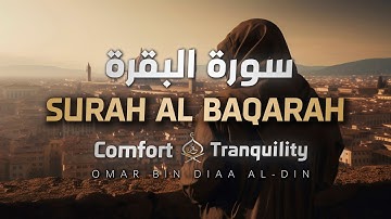 سورة البقرة كاملة بصوت القارئ عمر بن ضياء الدين | راحة وسكينة 🤍✨ | Surah Al-Baqarah