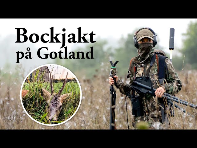 Jaktresan: Bockjakt på Gotland class=