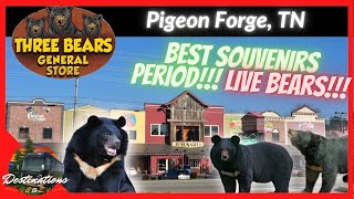 BEST SOUVENIRS Three Bears General Store and Gift Shop in Pigeon Forge, Tennessee