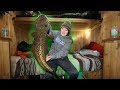 Catching MASSIVE Burbot! (FISHING FROM BED)