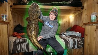 Catching MASSIVE Burbot! (FISHING FROM BED)