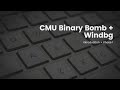 Reverse Engineering Binary Bomb Phase 1 - Windbg